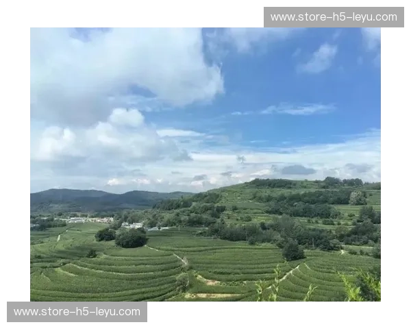 黄土高坡遇上辽阔草原：一场跨越千年的风味与传奇